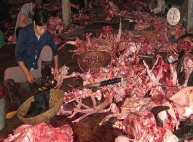 Giết mổ trâu bò (ảnh minh họa)