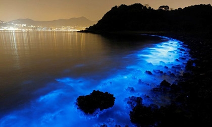 Nước biển Hong Kong phát ánh sáng màu xanh kỳ dị