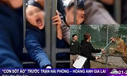 VTV xin lỗi vì so sánh fan Hải Phòng như... hổ đói