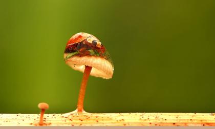 Những khoảnh khắc bình minh đẹp đến nao lòng 