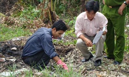 Hình minh họa