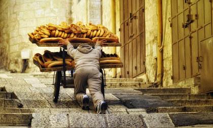 Nghẹt thở ngắm những khung hình chân thực về cuộc sống