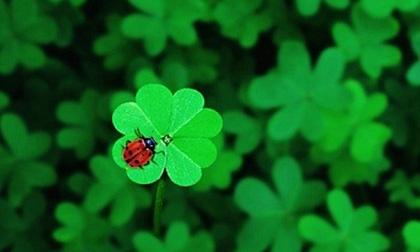 Đo chỉ số tiền bạc của 12 cung Hoàng đạo trong tháng 2 