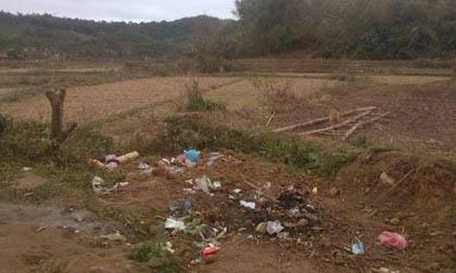 Vụ đẩy mẹ chồng xuống giếng: Người con trai nói gì?