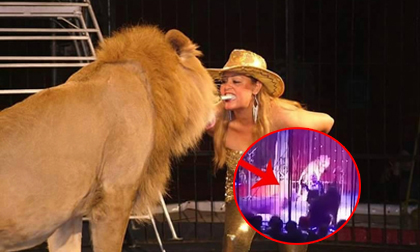 Sư tử bất ngờ tấn công HLV sở thú khi đang diễn xiếc