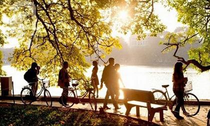 Dự báo thời tiết 10 ngày cuối năm: Hà Nội ấm dần đến 29 Tết