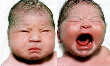 Khoảnh khắc biểu cảm ngộ nghĩnh của trẻ em mới chào đời