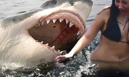 Những vụ cá mập tấn công người đẫm máu nhất lịch sử