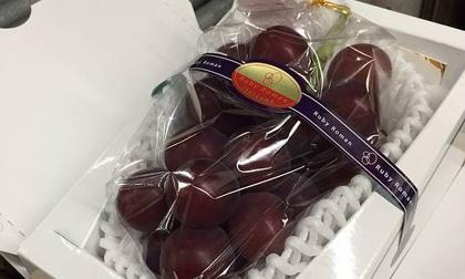 Chùm nho trị giá 1 triệu yen được bán tại Nhật Bản