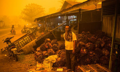 Cháy rừng ở Indonesia: Tội ác môi trường lớn nhất thế kỷ 21