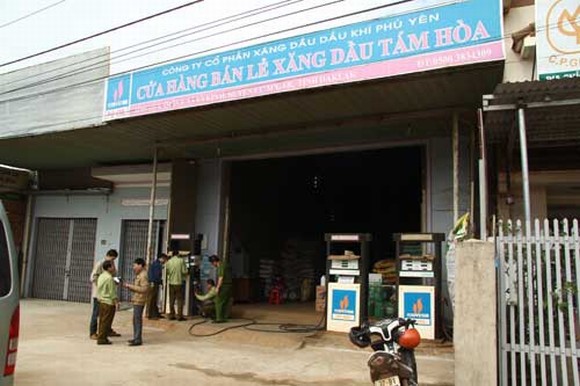 cay-xang-gan-chip-1