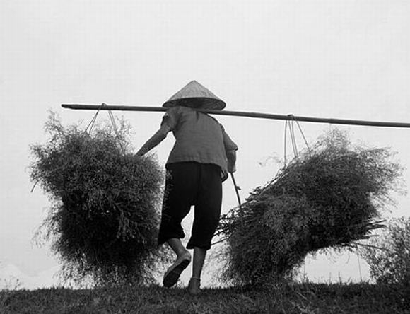 Anh Nét đẹp phụ nữ nông thôn Việt Nam đầu thế kỷ 20