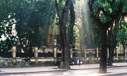 Hà Nội xưa cũ đẹp đến nao lòng qua góc chụp của chàng trai yêu Thủ đô