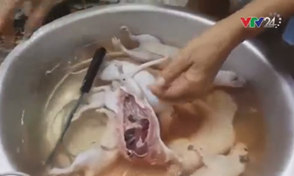 Đáng sợ: Thu gom giết mổ chuột bẩn làm thực phẩm ở Hà Nội