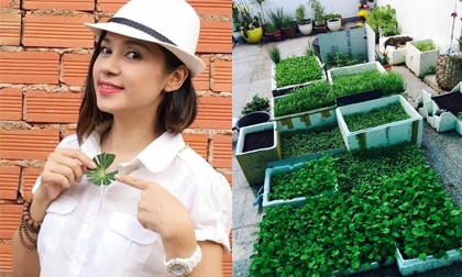 Việt Trinh khoe vườn rau sạch được trồng trong thùng xốp