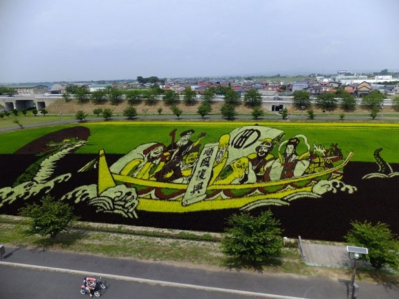 Cánh đồng lúa nghệ thuật ở Nhật Bản  9