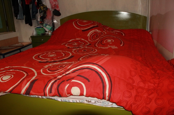 Đỗ Mỹ Linh 0
