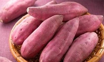 8 thực phẩm giúp phụ nữ sau sinh giảm cân hiệu quả