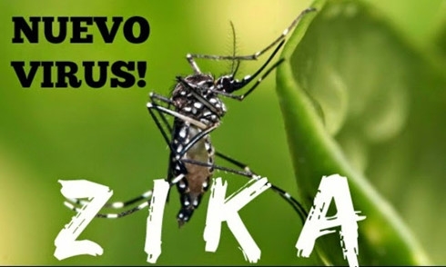   Đầu năm 2016, virus Zika từ khu vực Mỹ La tinh và vùng Caribbean đã bùng phát tại nhiều quốc gia và châu lục trên thế giới. Trên thực tế, virus Zika đã xuất hiện ở Uganda năm 1947.  Tuy nhiên, mức độ bùng phát hiện nay được xem là chưa từng có. Sự lây lan nhanh chóng của Virus ZiKa đang gây lo ngại cho toàn cầu. (Ảnh: Havanatimes)   
