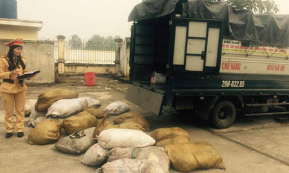 Thanh Hóa: Hơn 2.000 kg bì lợn thối suýt tung ra thị trường
