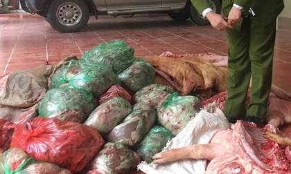 Lại phát hiện hàng tấn thịt lợn bẩn, rượu ngâm rắn không nguồn gốc