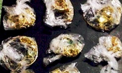 Vụ trộm 100 lượng vàng: Cảnh sát thu hồi 40% tài sản