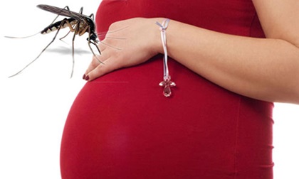 Vì đâu bà bầu lại là “con mồi béo bở“ của muỗi?