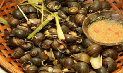 Món ăn phòng chống sỏi tiết niệu