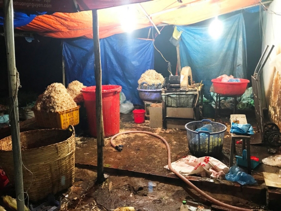 Hãi hùng phát hiện hàng trăm kg bắp chuối bào ngâm “chất độc” ở Sài Gòn - 3