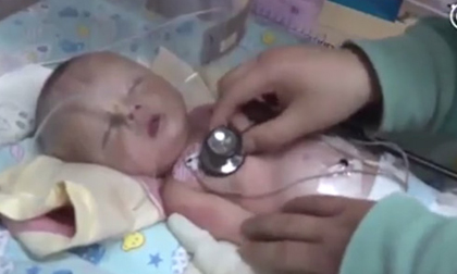Bé sơ sinh bị gia đình chôn sống ở nơi hoang vắng được cứu sống nhờ... một chú chó