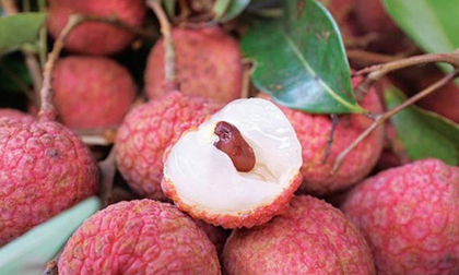 Nên cúng vào giờ nào trong ngày Tết Đoan ngọ 5/5?