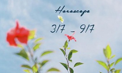 Xu hướng cuộc sống của 12 cung Hoàng đạo trong tuần đầu tháng 7