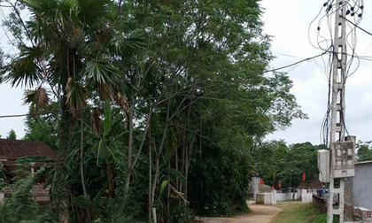 Cụ ông 70 tuổi bị người tình trẻ đầu độc: Vì đâu nên nỗi?