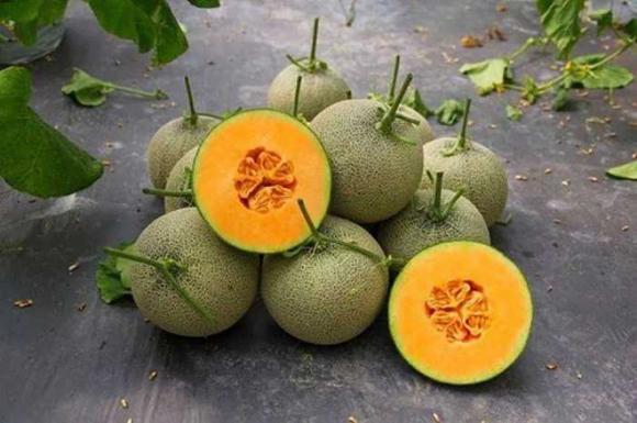 7 lợi ích tuyệt vời của dưa vàng, chị em phụ nữ sẽ vô cùng thích thú khi đọc đến lợi ích thứ 5 - Ảnh 3. 7 lợi ích tuyệt vời của dưa vàng, chị em phụ nữ sẽ vô cùng thích thú khi đọc đến lợi ích thứ 5 - Ảnh 3.