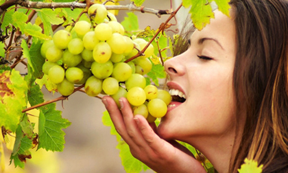 4 loại trái cây mùa thu tươi ngon, rất tốt cho sức khỏe