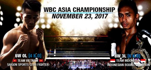 Kinh động boxing: 