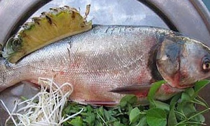 Vì sao kiêng ăn cá mè đầu năm?