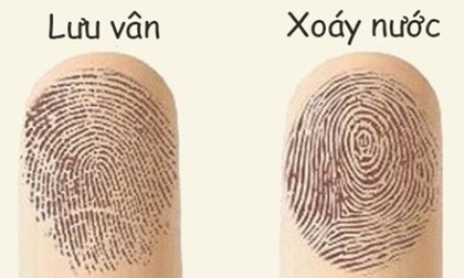 Vân tay tiết lộ tính cách và vận mệnh của bạn