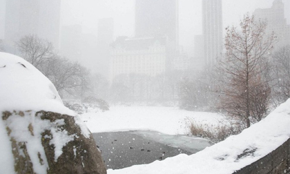 New York như “hành tinh khác” trong trận bão tuyết khiến nước Mỹ lạnh hơn sao Hỏa