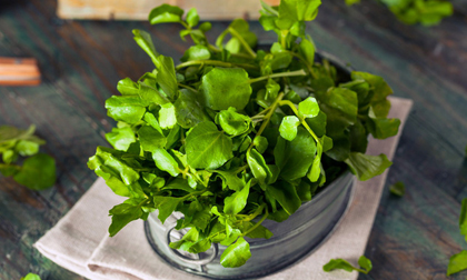 Vô vàn lợi ích từ loại rau này được chuyên gia Đông y nhấn mạnh và khuyên đừng bỏ qua vào mùa đông này