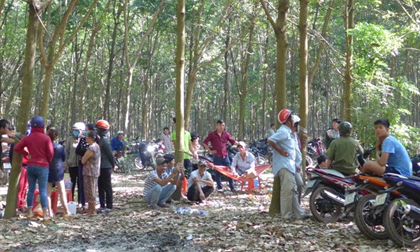 Cô gái cùng người tình bị nhóm người bắt vào rừng đánh đập, cắt tai