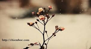 images (1)
