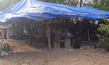 Vụ gỗ lậu ở Đắk Lắk: Bắt đàn em thân tín của trùm Phượng 'râu'