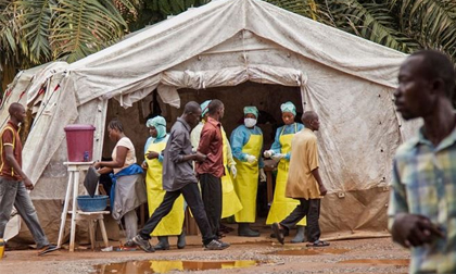 Bộ Y tế họp khẩn, xác định nguy cơ dịch bệnh Ebola vào Việt Nam