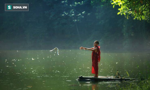 Vì sao người hiền lành vẫn gặp đau khổ? biết câu trả lời, bạn sẽ nhận ra mình nên làm gì - Ảnh 1. Vì sao người hiền lành vẫn gặp đau khổ? biết câu trả lời, bạn sẽ nhận ra mình nên làm gì - Ảnh 1.