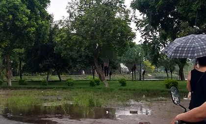 Hà Nội: Phát hiện người đàn ông tử vong trong tư thế treo cổ ở hồ Đền Lừ