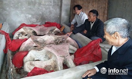 Những câu chuyện kỳ lạ ở miền đất được 'thần cá' chọn làm nơi an nghỉ