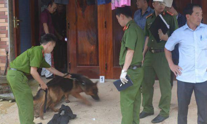 Rùng mình lời khai của bác sĩ giết vợ, phi tang xác: Giết xong ngồi uống rượu rồi ngủ tiếp