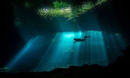 Choáng ngợp với những bức ảnh đẹp mê hồn chụp dưới nước