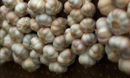 14 thực phẩm chị em dễ bảo quản sai cách khiến lợi ít hại nhiều